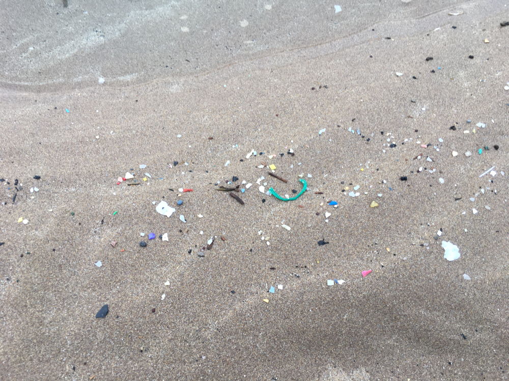 Microplastics on the strandline (Sue Burton)